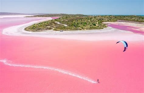 O Deslumbrante Lago Cor De Rosa Na Austrália Blog Amaury Jr Bol