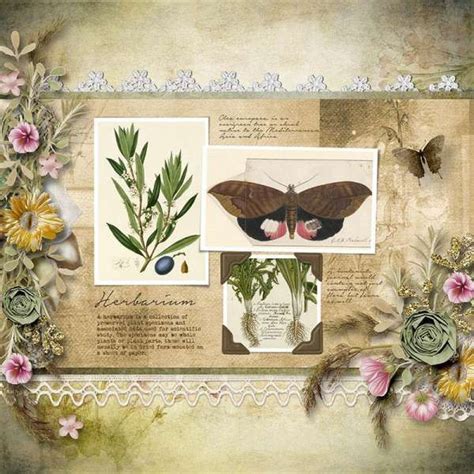 Breitwegerich plantago major m.w.* wegerichgewächse. Die besten 25+ Herbarium vorlage Ideen auf Pinterest ...