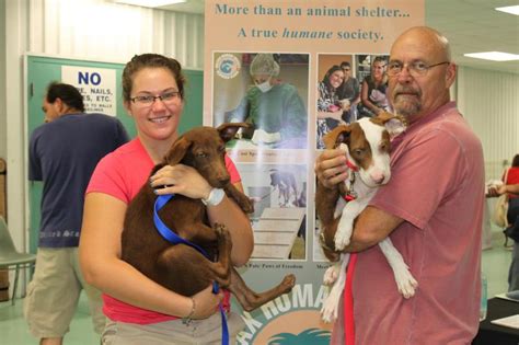 Halifax Humane Society Inc Reviews and Ratings | Daytona ...
