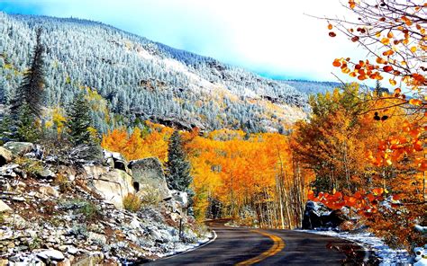 Colors Of Aspen Colorado Road Fall Trees Hd Wallpaper 2041451