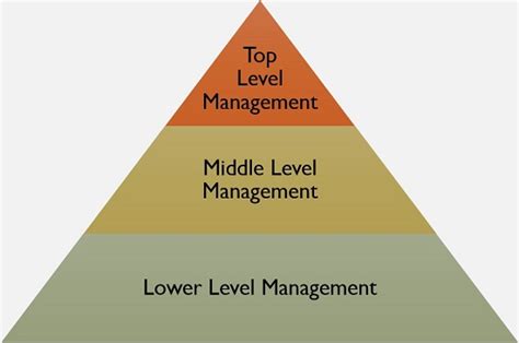 Levels Of Management Human Resource Management