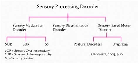 What Is Sensory Integration Disorder Symptoms Diagnosis And Treatment