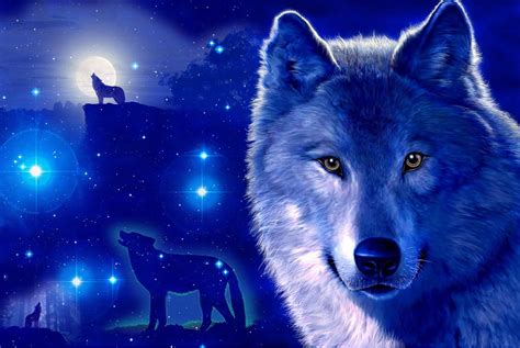 A collection of the top 73 hd wolf wallpapers and backgrounds available for download for free. Wolf Wallpaper and Background Image | 1434x961 | ID:289266 ...