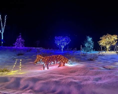 30 Cant Miss Maine Christmas Things To Do This December