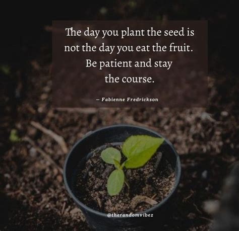80 Planting Seeds Quotes To Inspire You To Be Successful