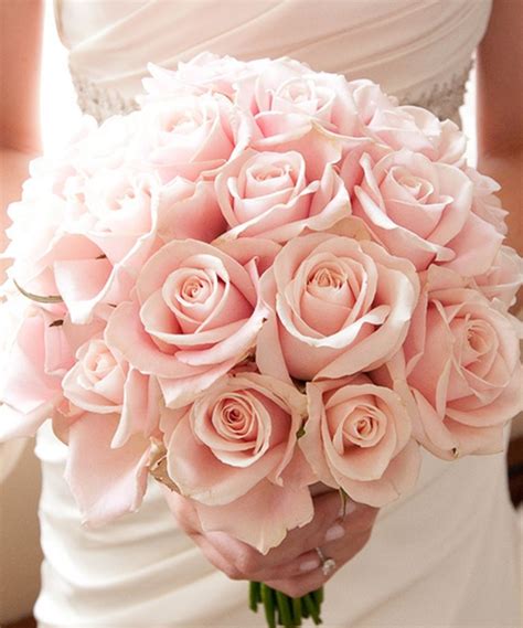 Light Pink Roses Blush Weddings Pinterest Pink Roses Rose And