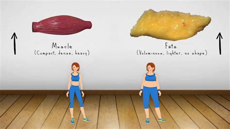 Weight Loss Vs Fat Loss All You Need Infos