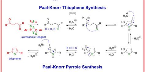 Paal Knorr Synthesis Of Thiophene - Paal-Knorr furan, thiophene, pyrrole synthesis made by Roman A