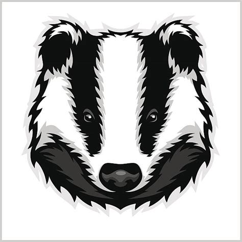 Badger Clip Art Vector Images And Illustrations Istock