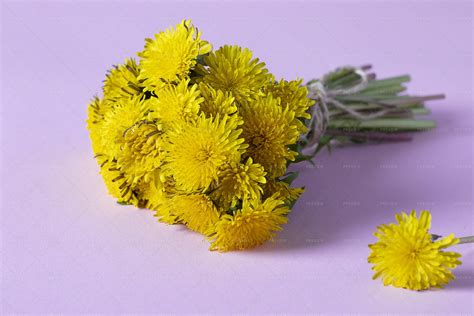 Bouquet Of Bright Yellow Dandelions Stock Photos Motion Array