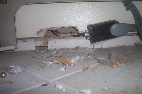 Maybe you would like to learn more about one of these? Rats in the House and Kitchen - Behind the Stove