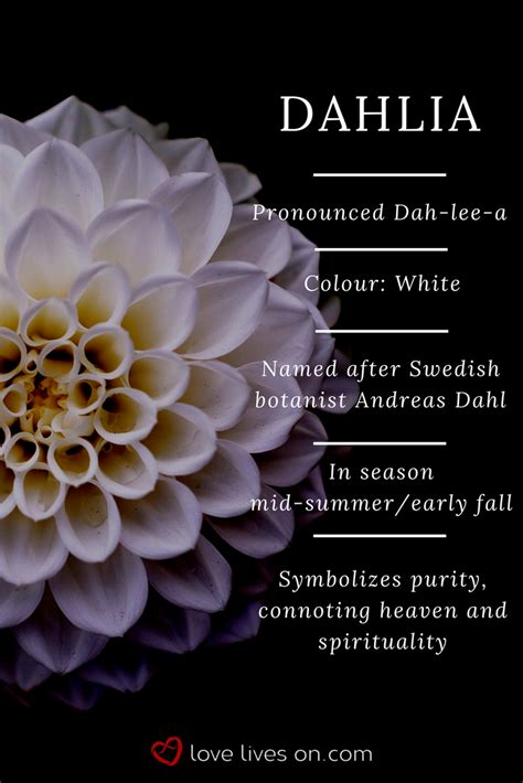 Purple has the balance of red's stimulation and blue's calming properties. Funeral Flowers and Their Meanings | The Ultimate Guide ...