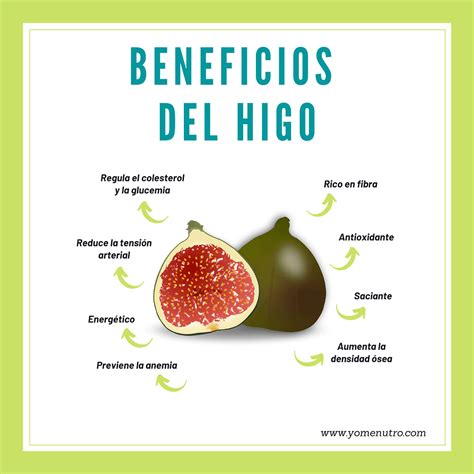 Beneficios Del Higo