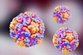 Symptoms of zika virus (rash). Cold vs Flu vs COVID 19 | NorthWest Cardio Diagnostics