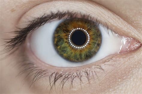 Merrillville Wavefront Custom Lasik Technology Laser Eye Surgery