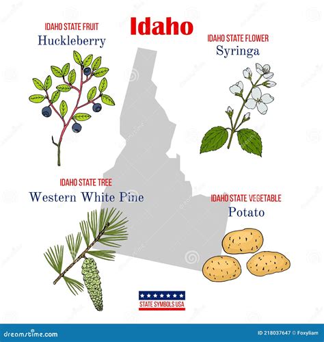 Idaho Set Of Usa Official State Symbols Stock Vector Illustration Of