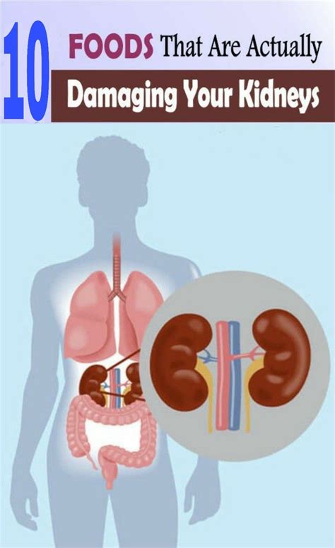 Kidney And Liver Relationship Kidausx