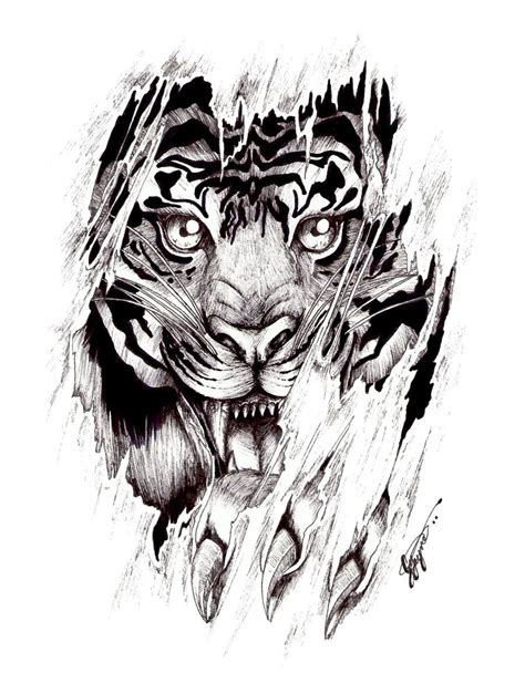 Tiger Tattoo Sketch At Explore Collection Of Tiger