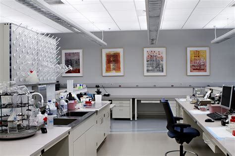 Yale New Haven Hospital Clinical Laboratory — Cama