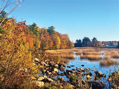 A Guide To Finding Nova Scotias Best Fall Foliage Environment