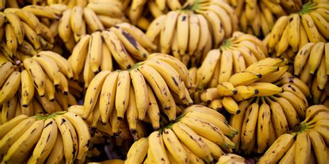 Banana Fungus Insect Outbreak Threaten Global Supply Huffpost