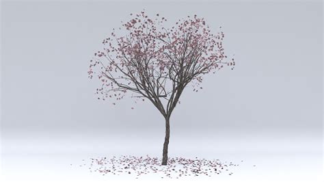 3d Model Prunus Autumn Hight Turbosquid 1620607