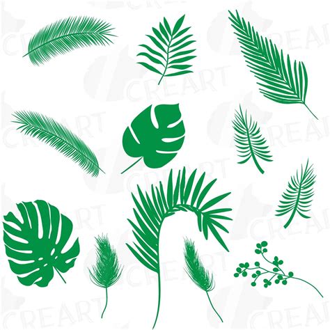 Tropical leaf silhouette clip art pack, black and green palm leaf collection. Eps, png, jpg, pdf ...