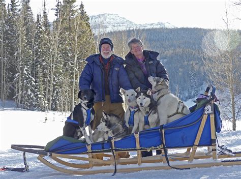 Colorado Dog Sledding Winter Dog Sled Tours In Co