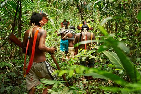 Rain Forest Warriors How Indigenous Tribes Protect The Amazon