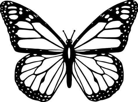 Clipart Black And White Butterfly