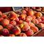 Let The Peach Harvest Season Begin  VSC NEWS