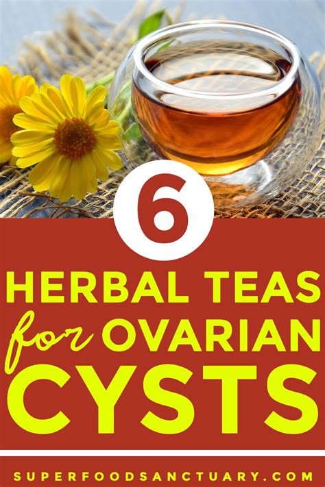Top Herbal Teas For Ovarian Cysts Superfood Sanctuary