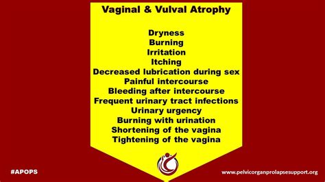 Vulva Pain And Burning During Intercourse Telegraph