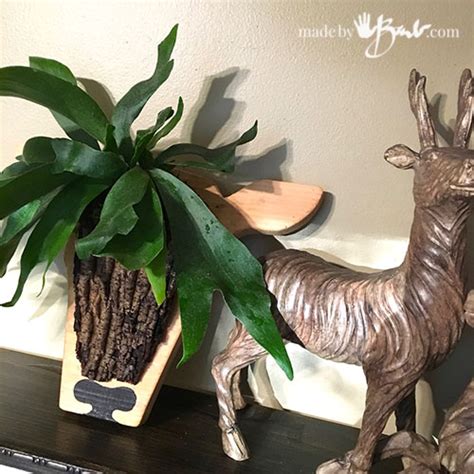 Diy Staghorn Deer Wall Plaque Made By Barb Wallmounted