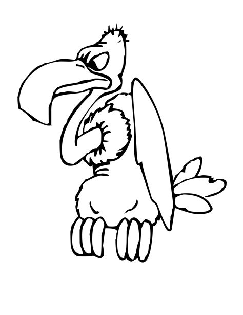 Vulture Coloring Page At Free Printable Colorings