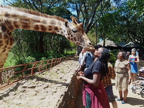 Giraffe Center Nairobi Kenya Kemzykemzy