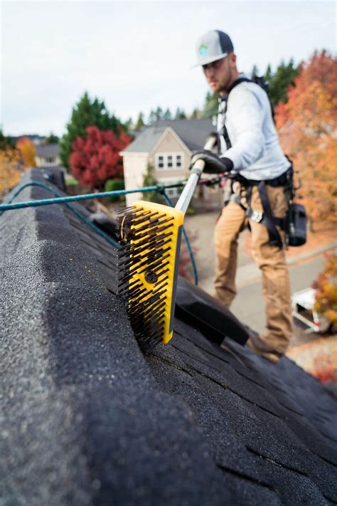 What Is The Best Moss Killer For Roofs