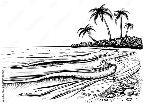 Ocean Or Sea Beach With Palms And Waves Sketch Black And White Vector