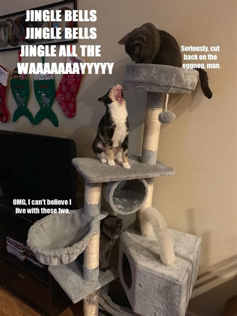 Jingle Cat Tree Check Our Pawsome Store If You Love Cats 👉