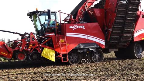 Grimme Maxtron 620 Rübenernte Harvesting Beets 2020 pt2 YouTube