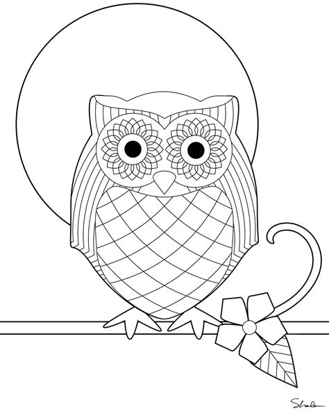 Owl Coloring Pages For Adults Colouring Pinterest