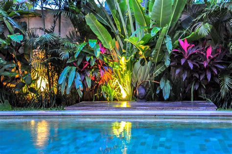 Play with backyard lightings 7. The Tiki Room » Make Your Own Tiki Paradise | Tropical ...