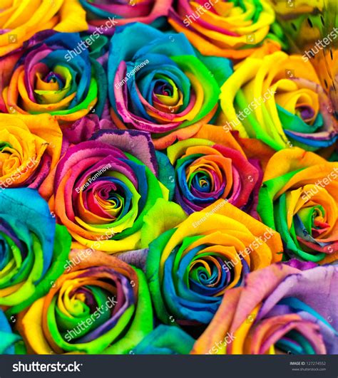 Bouquet Of Colored Roses Rainbow Rose Stock Photo 127274552