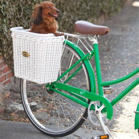 Can play online, have membership. 330 best images about animals & bicycles on Pinterest ...
