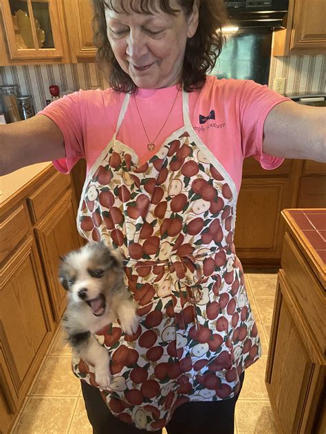 My Mom Puts Their Puppy In Her Apron Pocket When She Preps Dinner And I