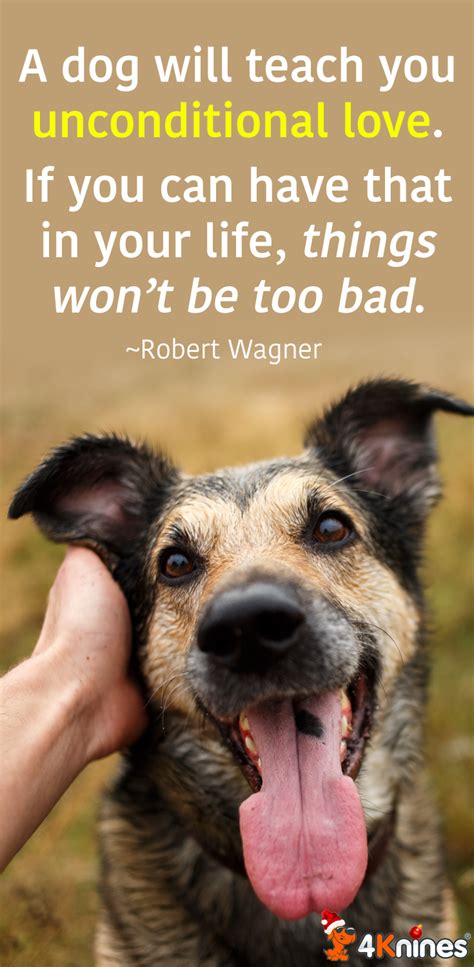 Unconditional Love Dog Quotes