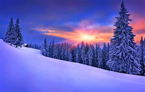 Download Nature Beautiful Winter Photos Images