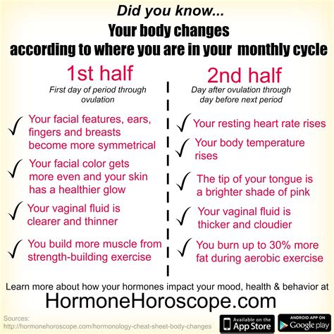 Hormonology Cheat Sheet: 9 ways your body changes during your cycle