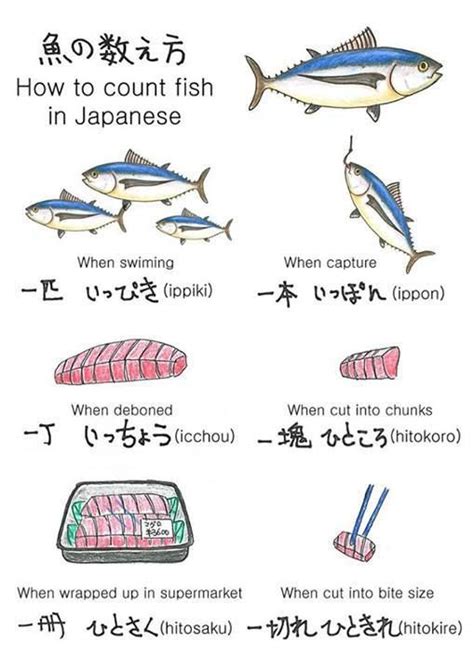 Counting Fish In Japanese Japanese Language Japanese Language