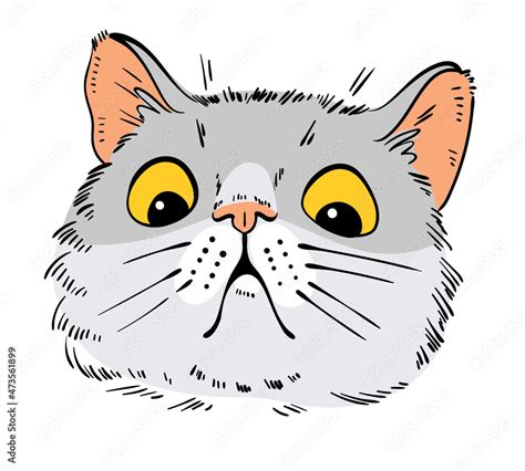 Cat Portrait Drawing Shocked Cat Cartoon Characters Funny Vector